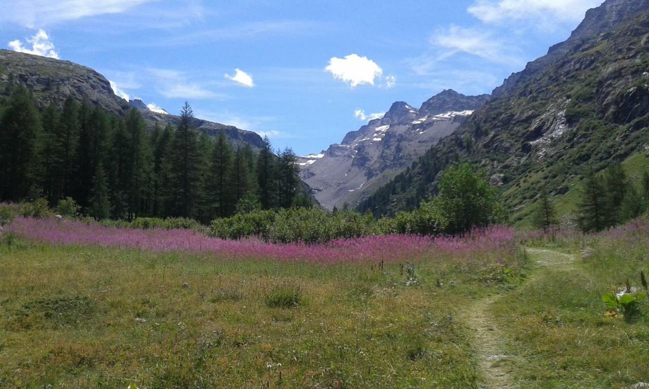Hotel Vers Le Bois Valsavarenche Exteriér fotografie